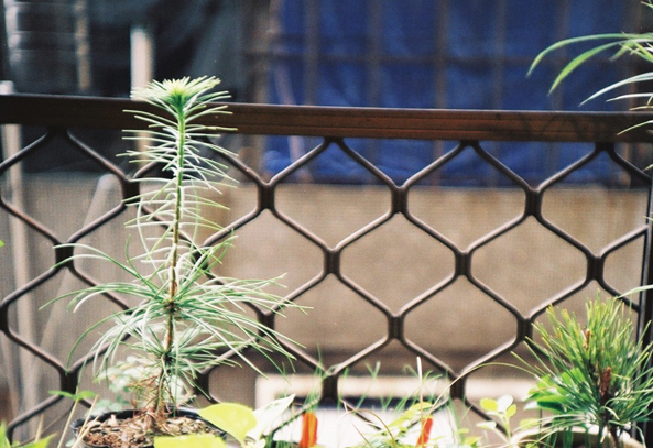 按此在新視窗瀏覽圖片