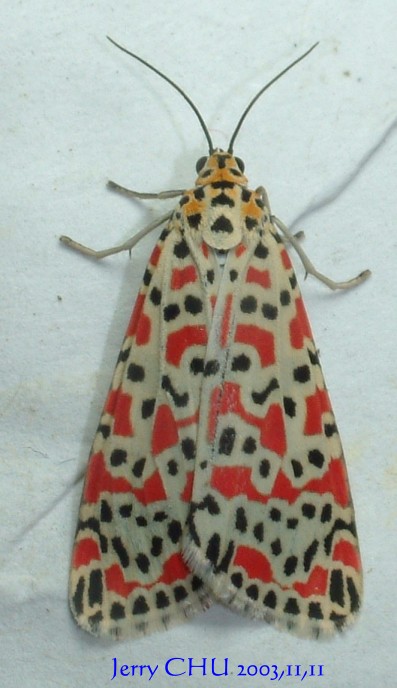 按此在新視窗瀏覽圖片