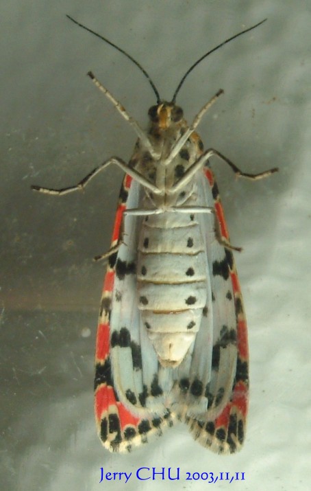 按此在新視窗瀏覽圖片