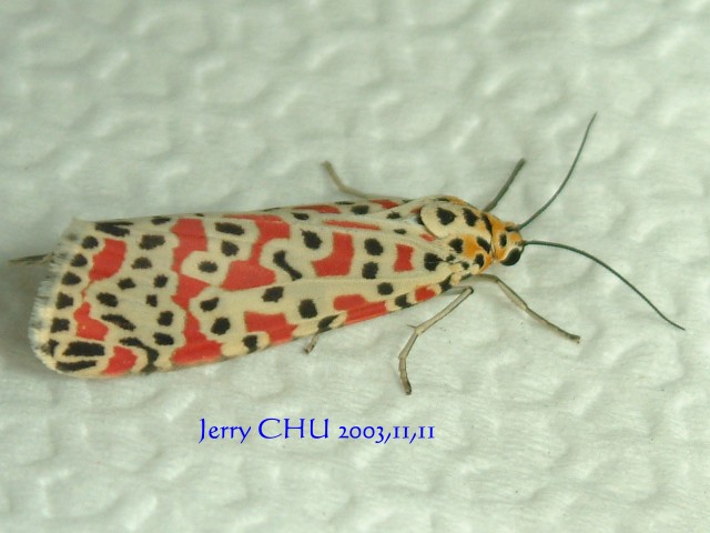 按此在新視窗瀏覽圖片