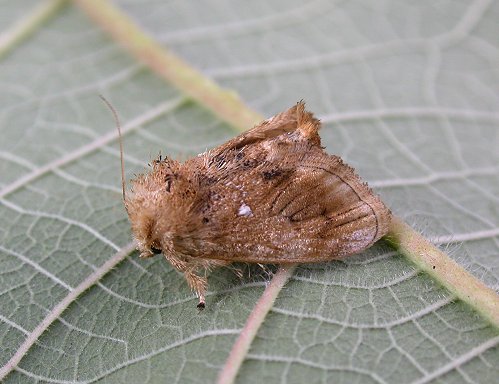 «ö¦¹¦b·sµøµ¡ÂsÄý¹Ï¤ù