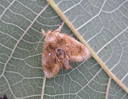 «ö¦¹¦b·sµøµ¡ÂsÄý¹Ï¤ù