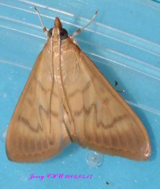 按此在新視窗瀏覽圖片