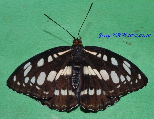 按此在新視窗瀏覽圖片