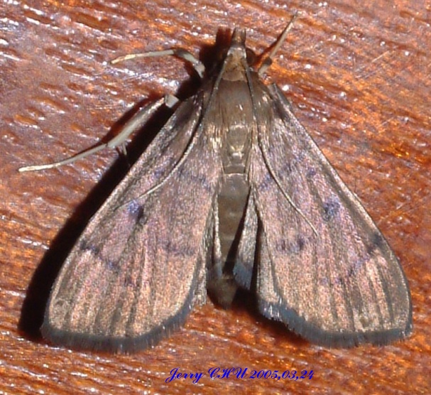 按此在新視窗瀏覽圖片