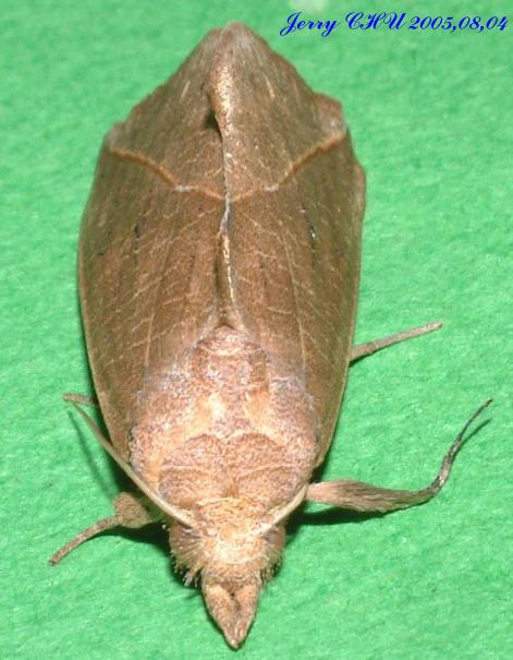 按此在新視窗瀏覽圖片