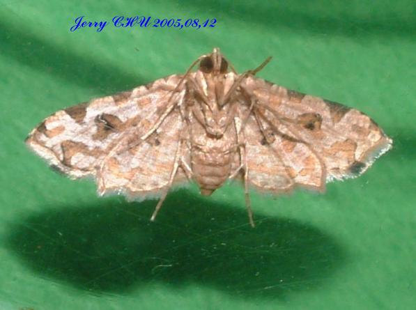 按此在新視窗瀏覽圖片