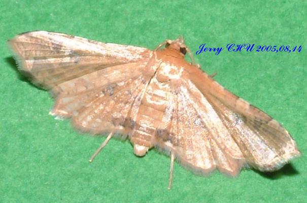 按此在新視窗瀏覽圖片