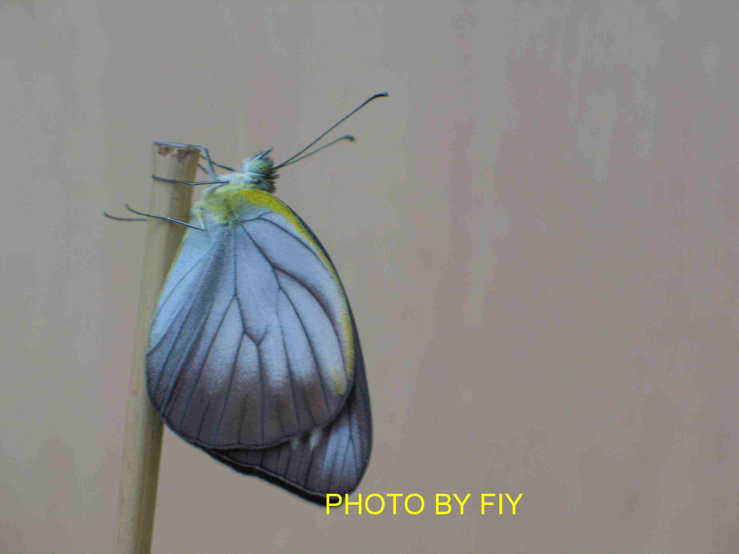 按此在新視窗瀏覽圖片