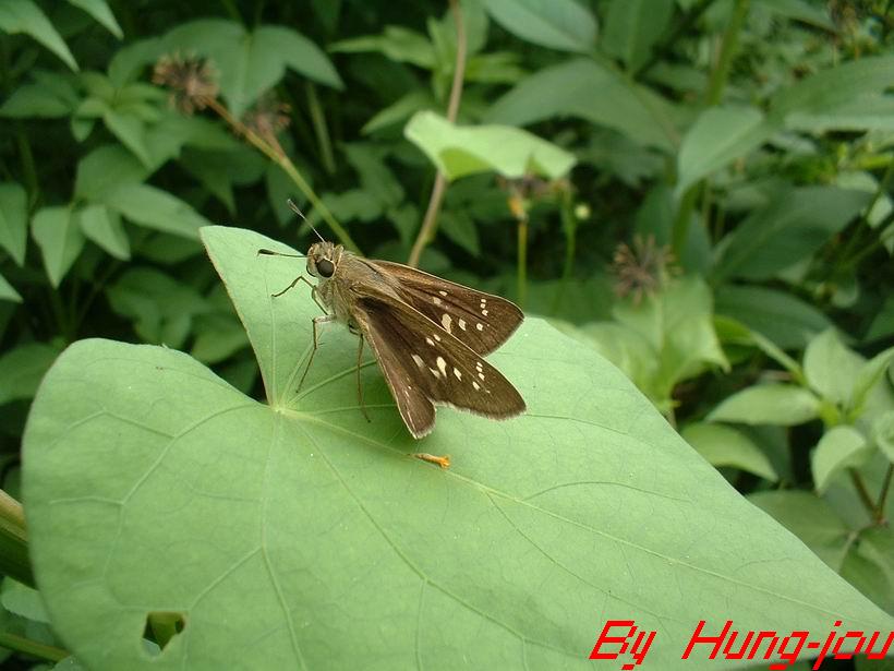 按此在新視窗瀏覽圖片