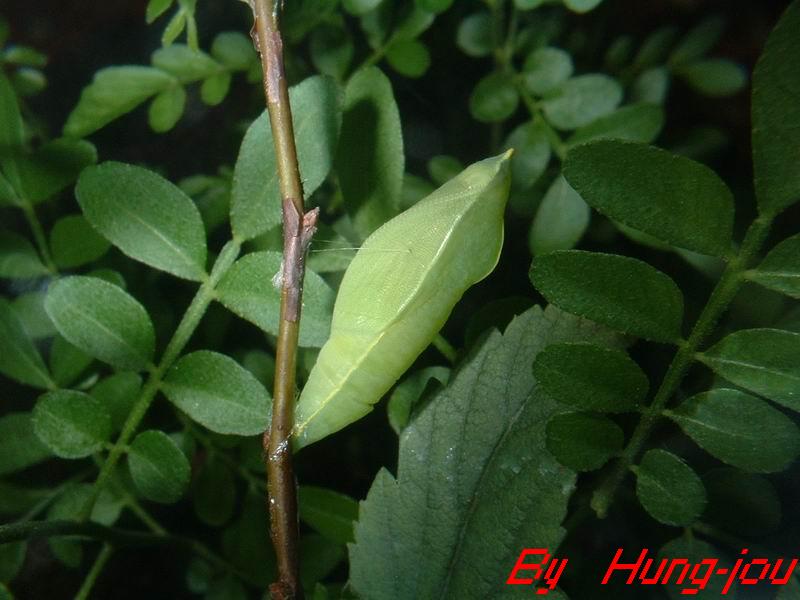 按此在新視窗瀏覽圖片