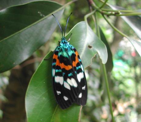 按此在新視窗瀏覽圖片