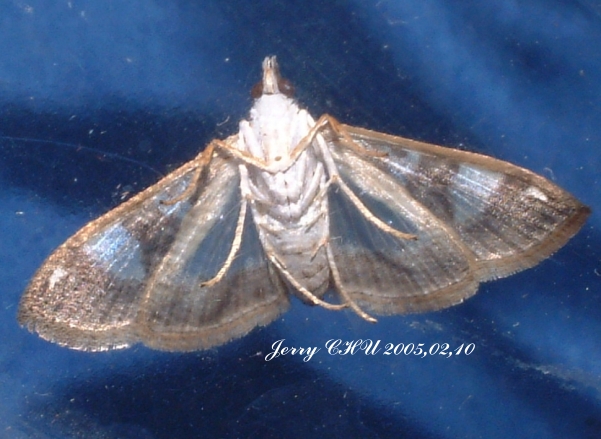 按此在新視窗瀏覽圖片