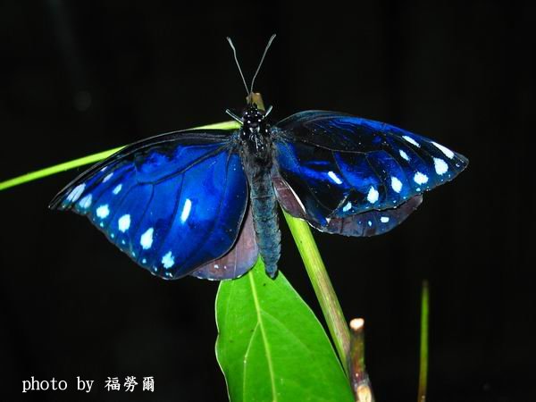 按此在新視窗瀏覽圖片