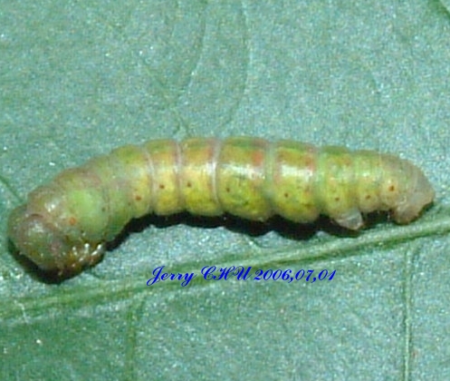 按此在新視窗瀏覽圖片