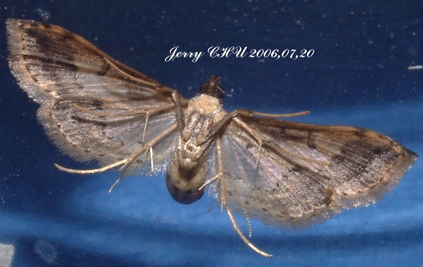 按此在新視窗瀏覽圖片