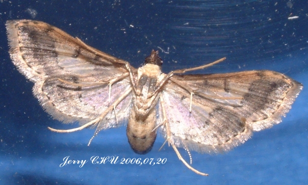 按此在新視窗瀏覽圖片