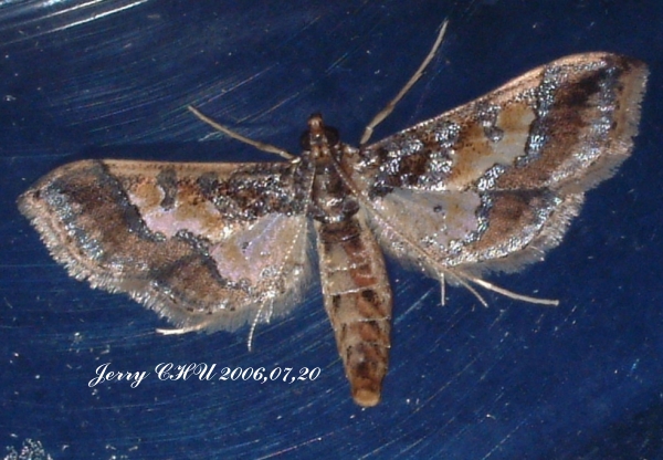 按此在新視窗瀏覽圖片