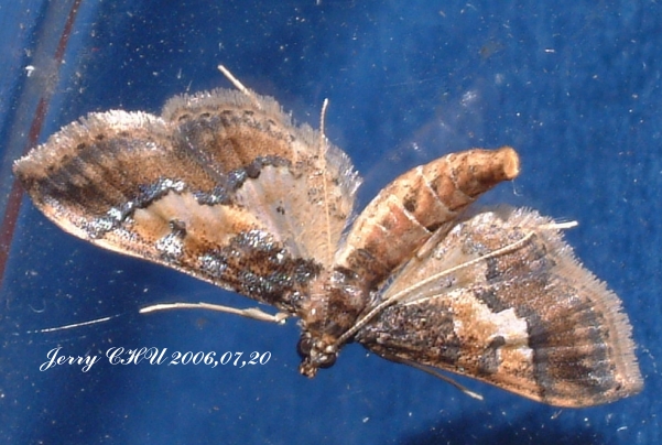 按此在新視窗瀏覽圖片