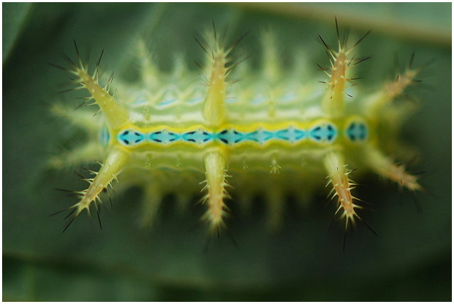 按此在新視窗瀏覽圖片