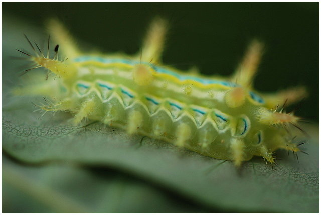 按此在新視窗瀏覽圖片