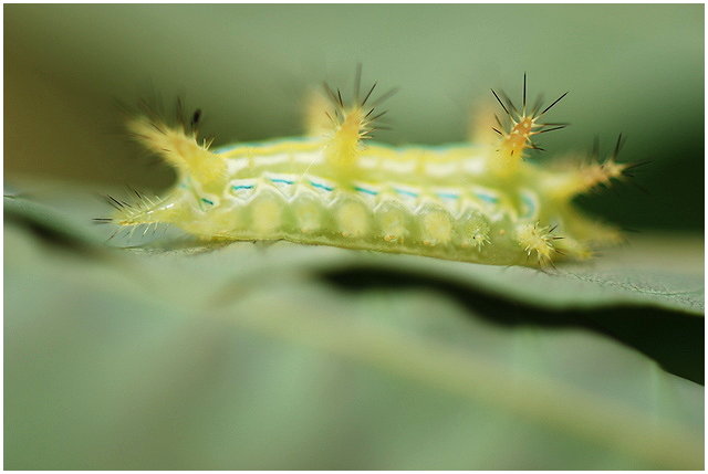 按此在新視窗瀏覽圖片