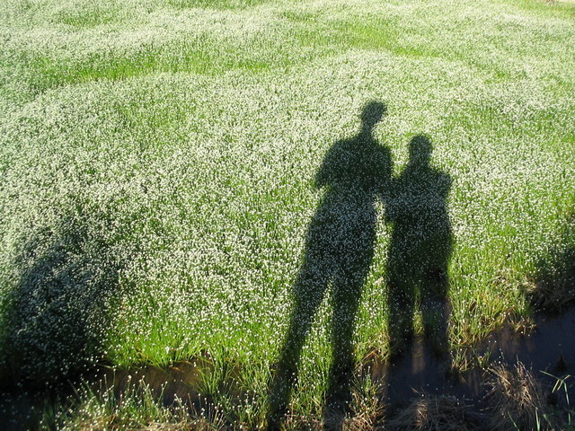 «ö¦¹¦b·sµøµ¡ÂsÄý¹Ï¤ù