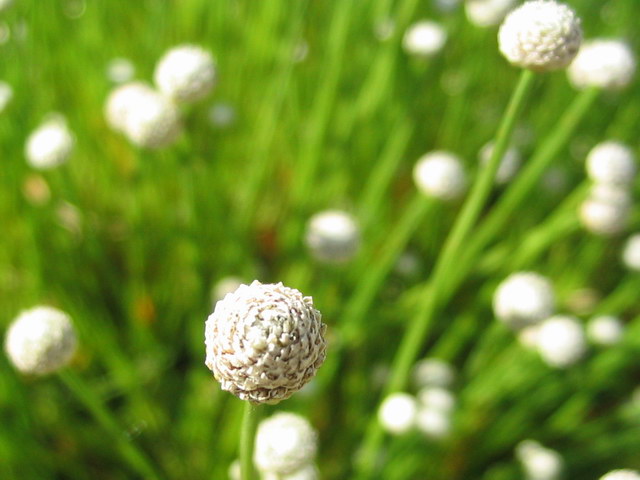 «ö¦¹¦b·sµøµ¡ÂsÄý¹Ï¤ù