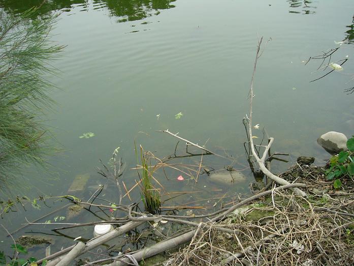 按此在新視窗瀏覽圖片