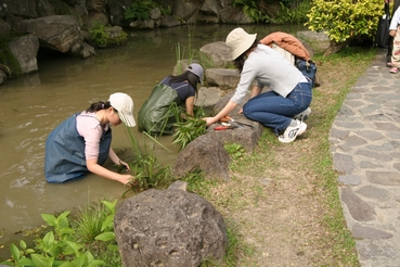 按此在新視窗瀏覽圖片