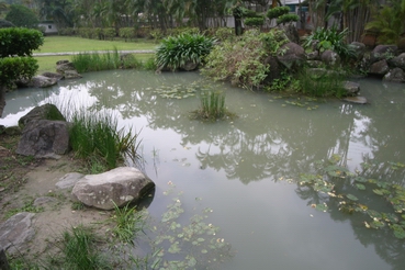 按此在新視窗瀏覽圖片