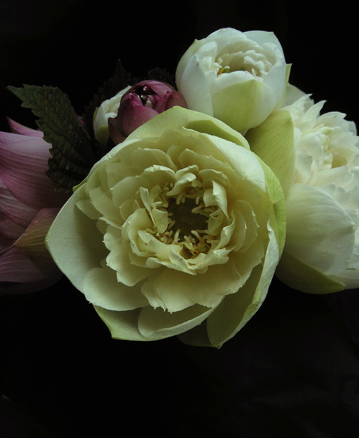 按此在新視窗瀏覽圖片