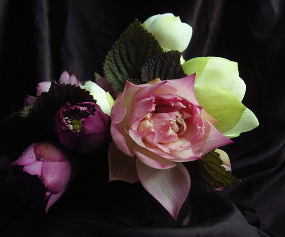 按此在新視窗瀏覽圖片