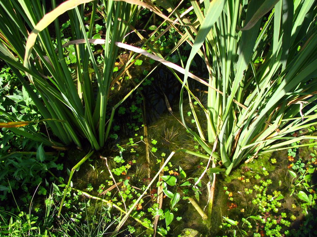 按此在新視窗瀏覽圖片