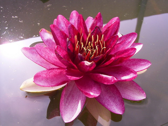 按此在新視窗瀏覽圖片