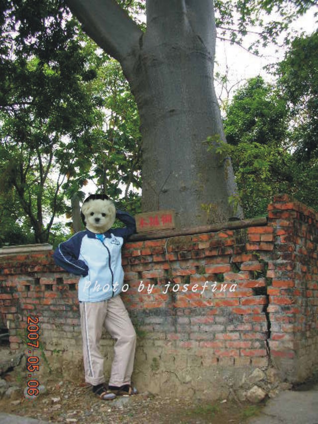 按此在新視窗瀏覽圖片