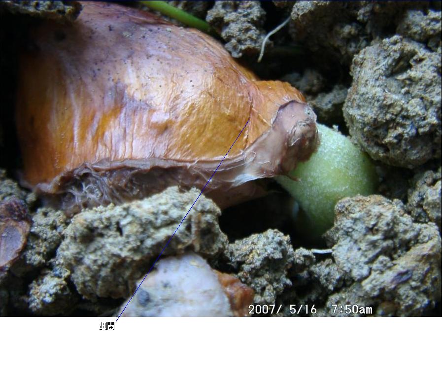 «ö¦¹¦b·sµøµ¡ÂsÄý¹Ï¤ù