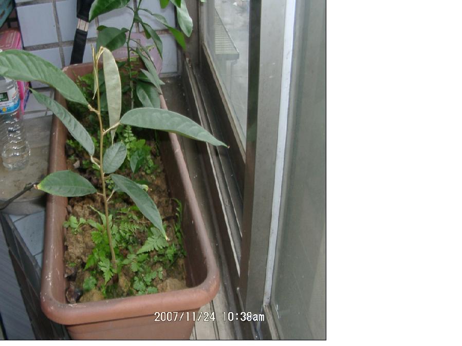 «ö¦¹¦b·sµøµ¡ÂsÄý¹Ï¤ù