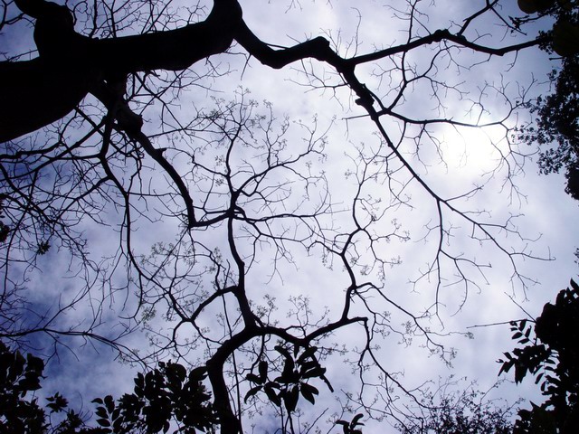 按此在新視窗瀏覽圖片