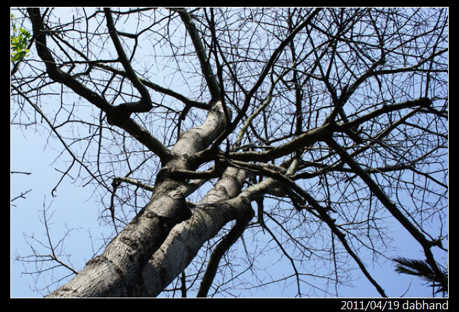 按此在新視窗瀏覽圖片