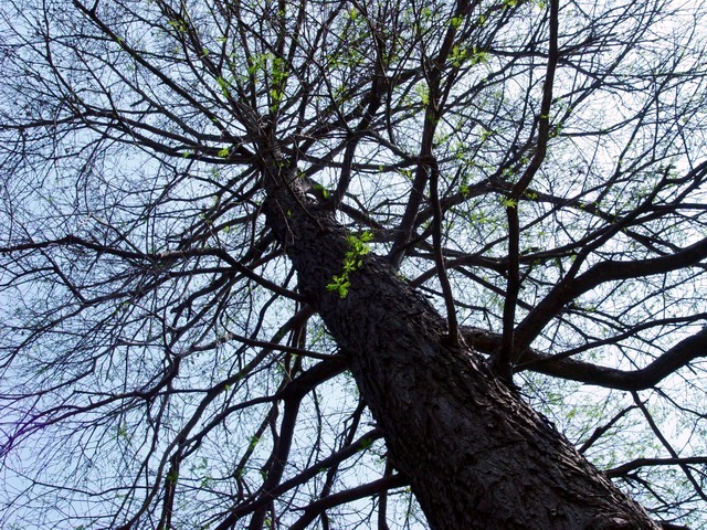 按此在新視窗瀏覽圖片