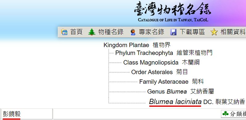 «ö¦¹¦b·sµøµ¡ÂsÄý¹Ï¤ù