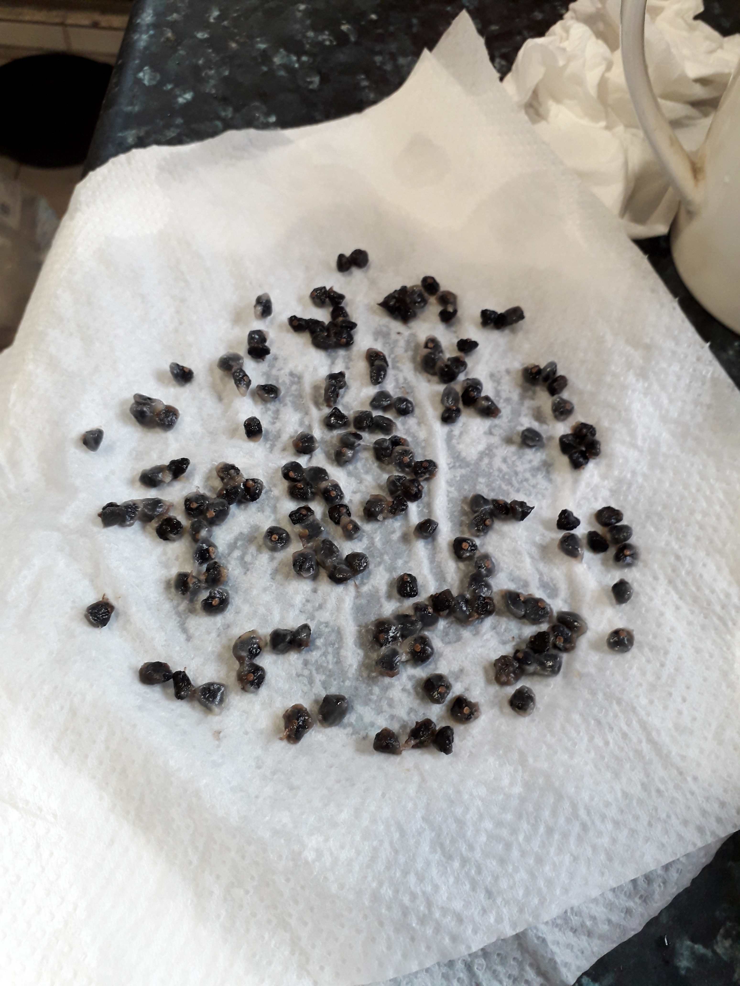 «ö¦¹¦b·sµøµ¡ÂsÄý¹Ï¤ù