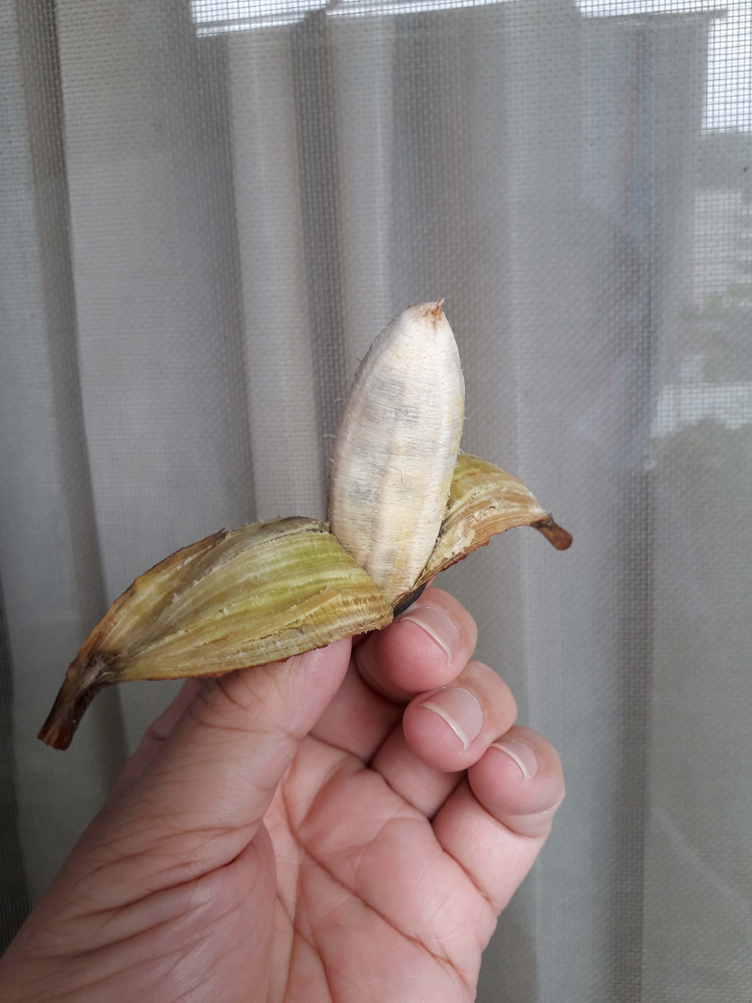 «ö¦¹¦b·sµøµ¡ÂsÄý¹Ï¤ù