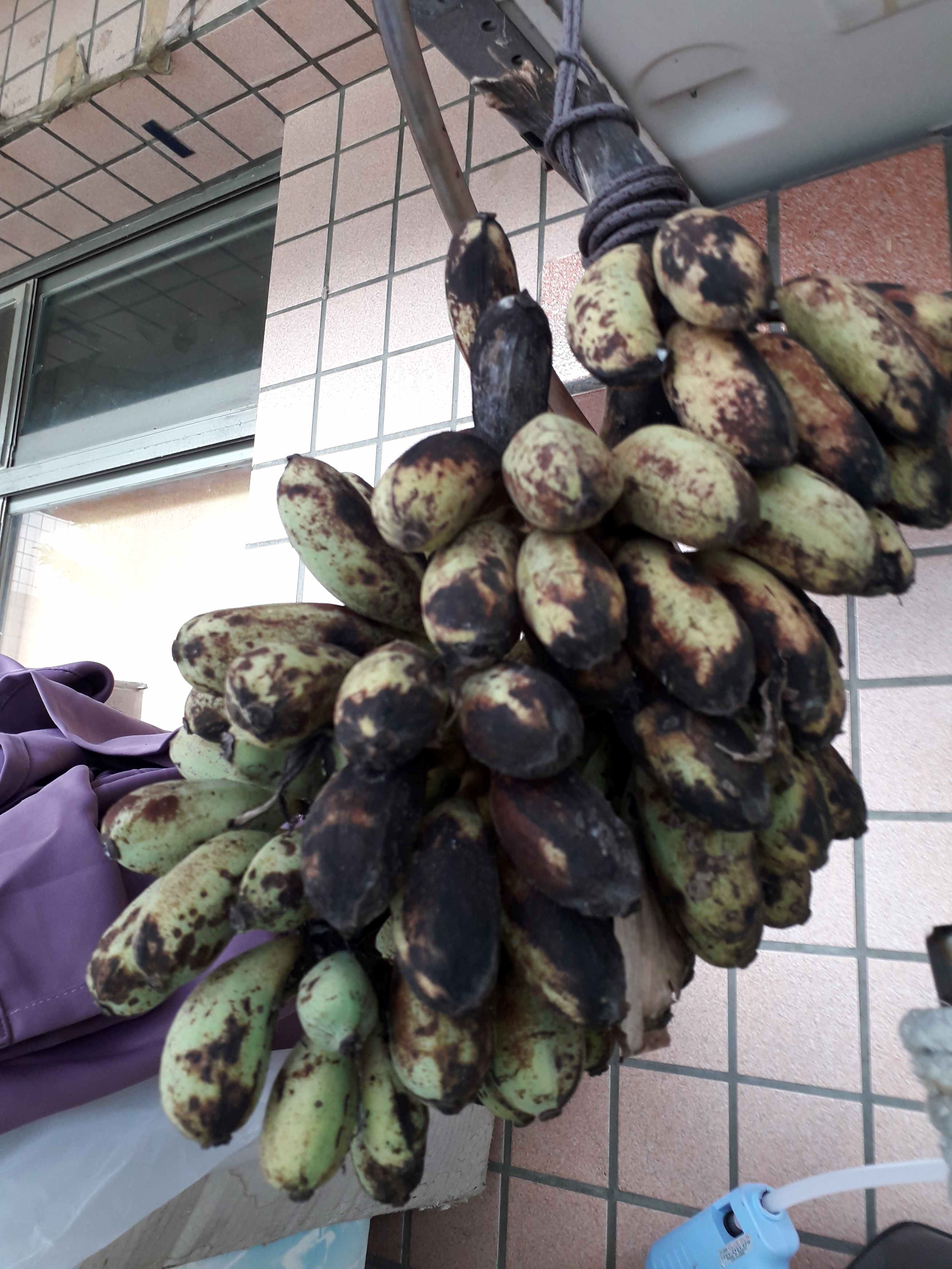 «ö¦¹¦b·sµøµ¡ÂsÄý¹Ï¤ù