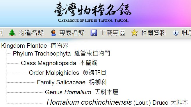 «ö¦¹¦b·sµøµ¡ÂsÄý¹Ï¤ù