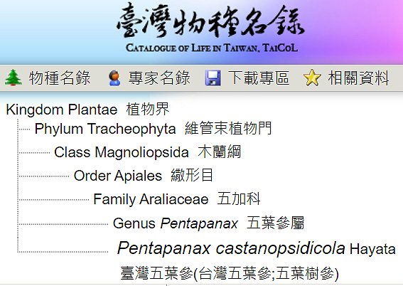 «ö¦¹¦b·sµøµ¡ÂsÄý¹Ï¤ù