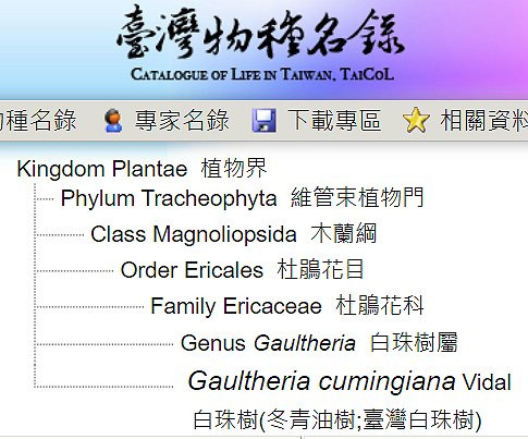 «ö¦¹¦b·sµøµ¡ÂsÄý¹Ï¤ù