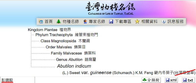 «ö¦¹¦b·sµøµ¡ÂsÄý¹Ï¤ù