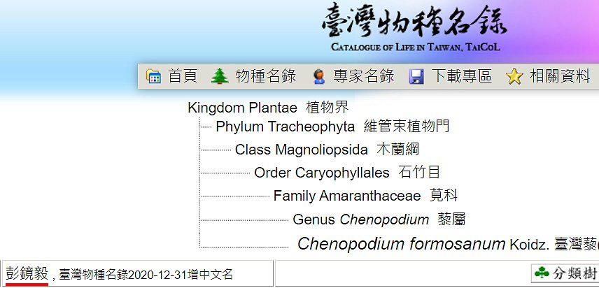 «ö¦¹¦b·sµøµ¡ÂsÄý¹Ï¤ù